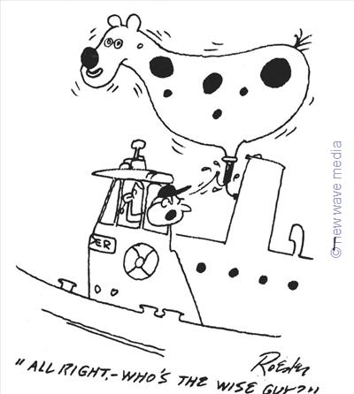 boat-sailor-on-board