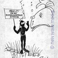 animals offshore underwater