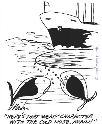 offshore-ship-animals